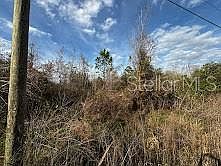 1st image of 4125 QUAIL NEST LANE LOT 34