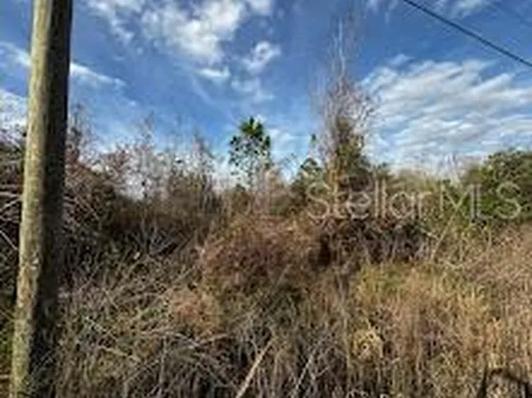 4125 Quail Nest Ln Lot 34, New Smyrna Beach, FL 32168