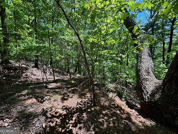 4th image of 0 Lookout Ridge Rd #11
