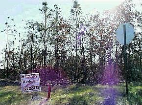 1st image of 3819 Barnett Crossing Drive