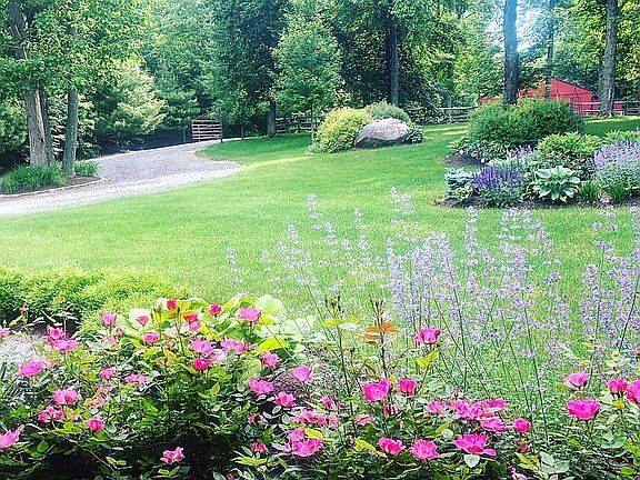 Front yard from porch 