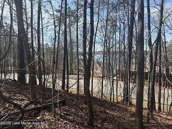 2nd image of Lakeview Ridge Cir