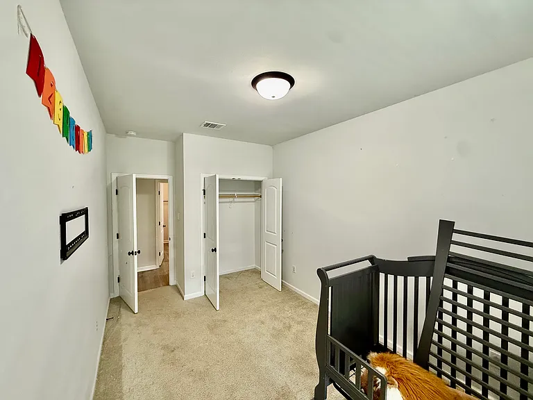 315 Springsteen Ln — Photo 11
