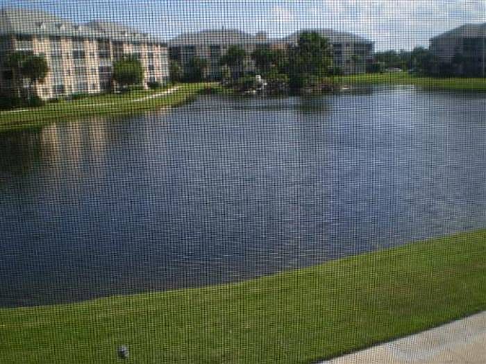 View from Balcony