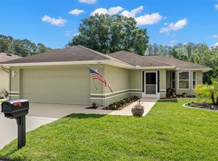 29250 Princeville Dr, San Antonio, FL 33576