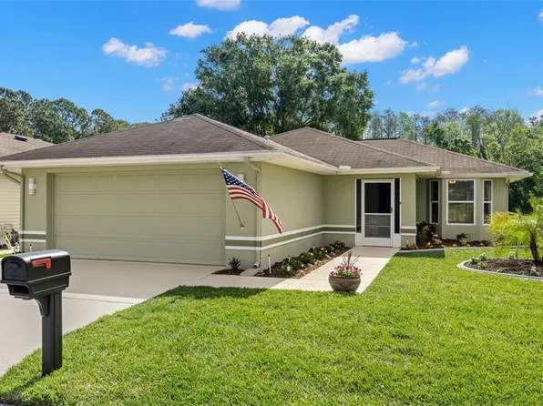 29250 Princeville Dr, San Antonio, FL 33576