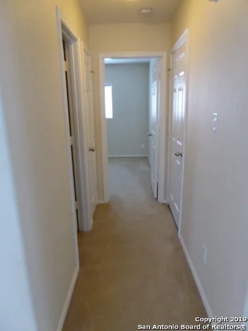 3918 Texas Hawthorn — Photo 12