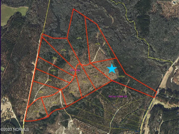 610 Fortis Farm Rd Lot 11, Vass, NC 28394