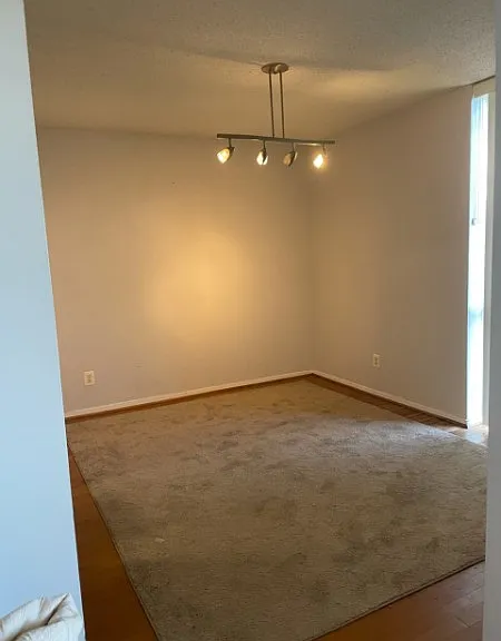 2300 Pimmit Dr #1103 — Photo 12