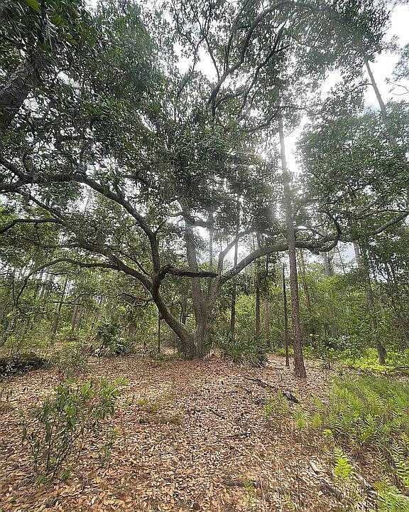 1st image of 0 S Shore Dr Lot 6