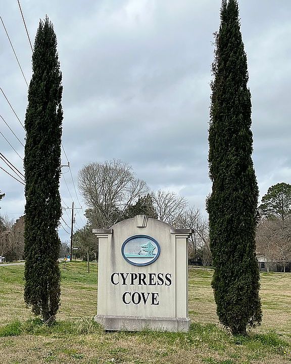 2nd image of 17 Cypress Cv