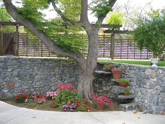 Front yard