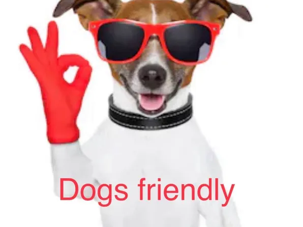 219-36 74th Avenue image 15 of 17