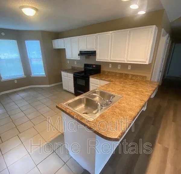 4417 Willow Springs Cv — Photo 4