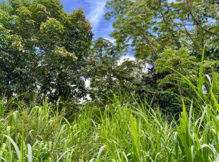 Mayzee Rd LOT 1099, Pahoa, HI 96778