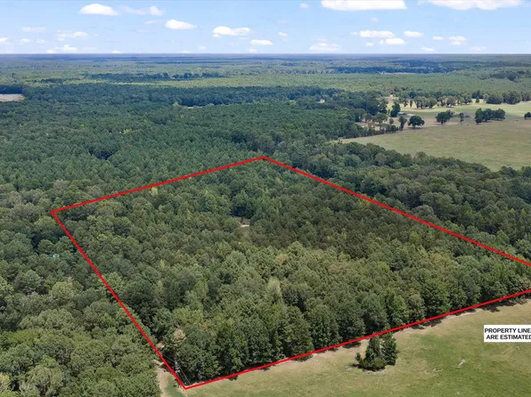 County Road 3311, De Berry, TX 75639
