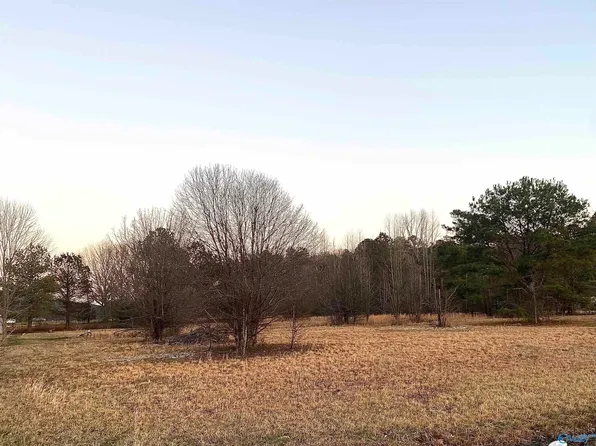Low Gap Rd, Gurley, AL 35748