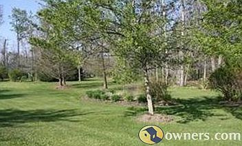 Side Yard with Mature Gardens