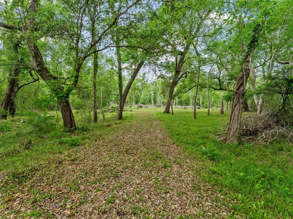 0 Kings Oak Dr, Damon, TX 77430