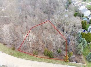 V/l 284 Stony Brook Ln, Wakeman, OH