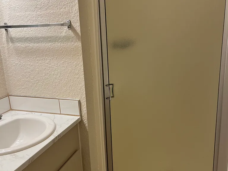 Master bath shower