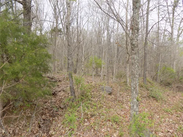 1200 Highway E, Arcadia, MO 63621