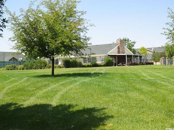 Lawn area