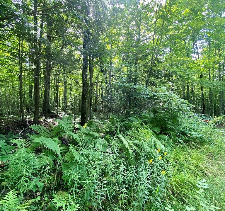 1st image of 0 Blueberry Fire Lane