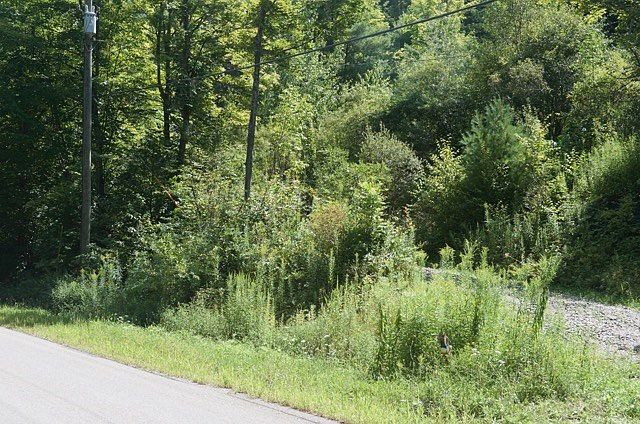 2nd image of 4810 Deusenberry Rd