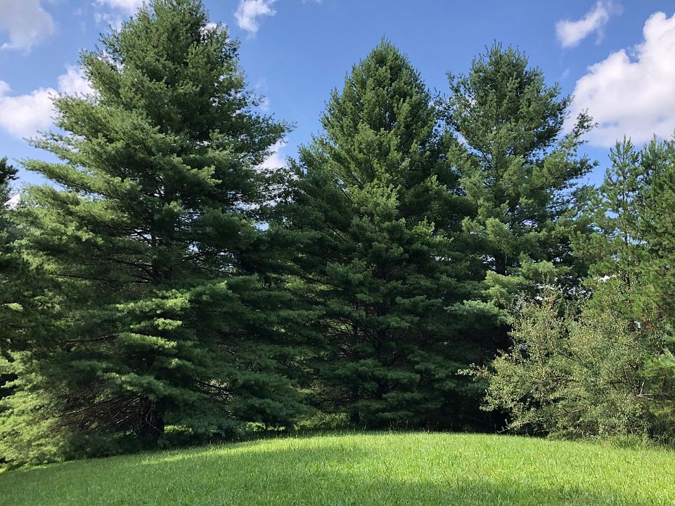 2nd image of 2 76th Acres