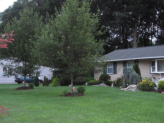 Front landscaping