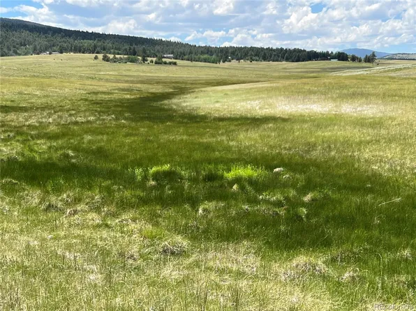 3255 Ranch Road LOT 11, Hartsel, CO 80449