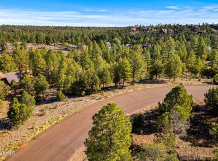 2794 Skyhawk Dr #140, Overgaard, AZ 85933