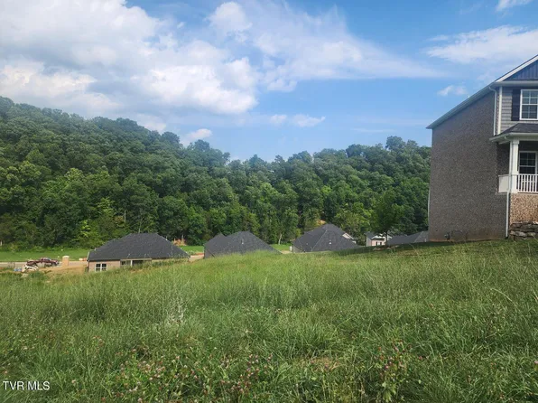 1633 Prospects Way, Johnson City, TN 37615