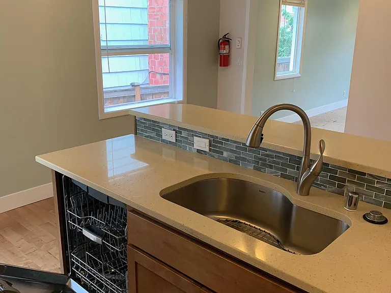 Dishwasher & sink