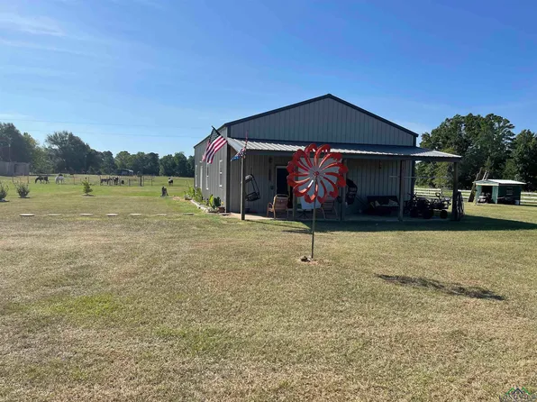 8689 Fm 993, Pittsburg, TX 75686