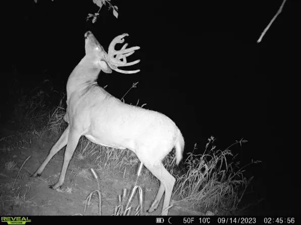 38352 Dairy Ln, Peterson, MN 55962