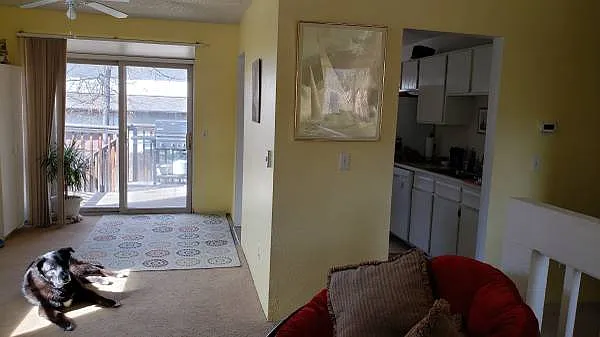 3 bed, 1650 sqft, $950 — Photo 4