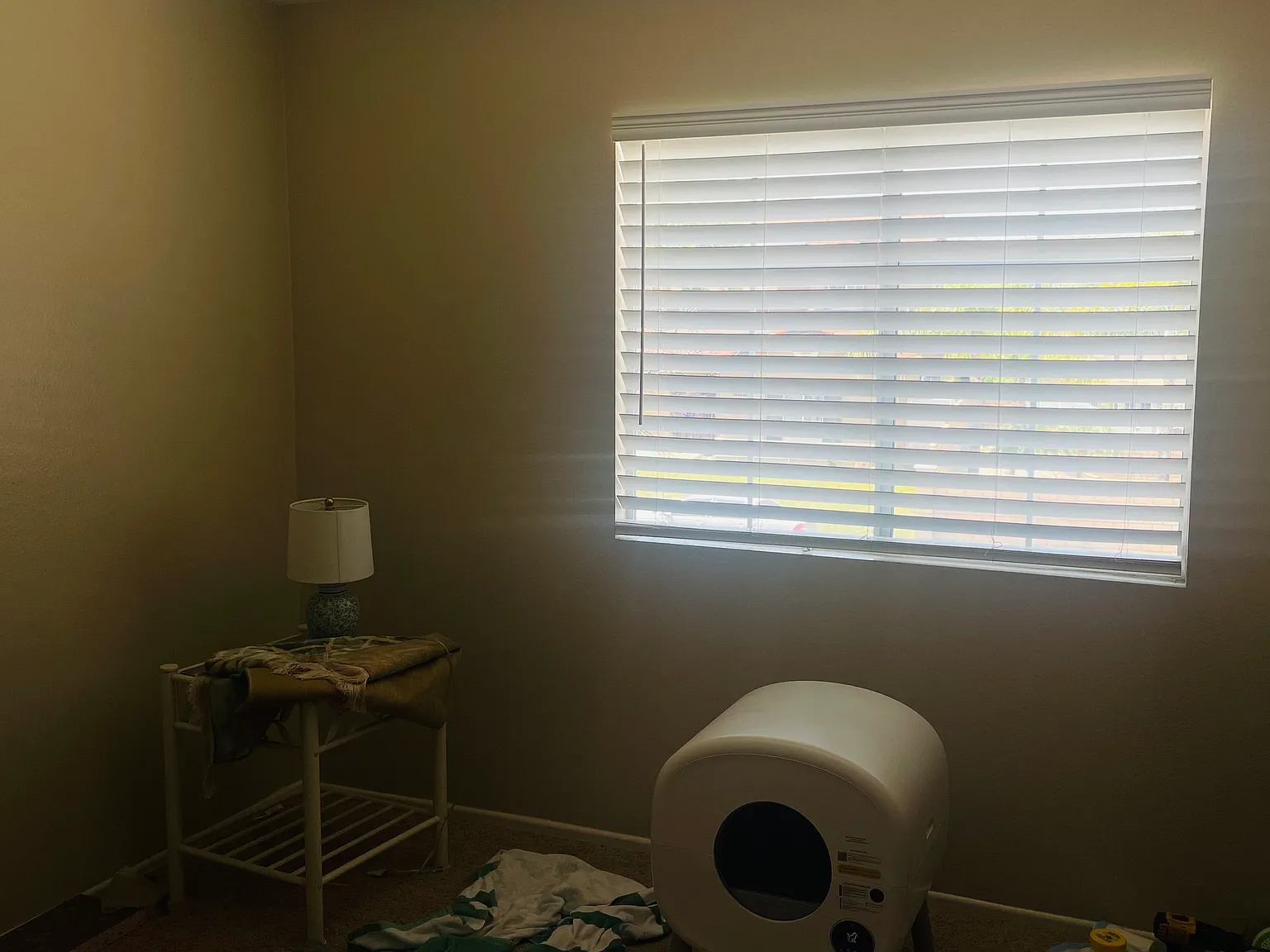 1 bed, 450 sqft, $890 — Photo 2