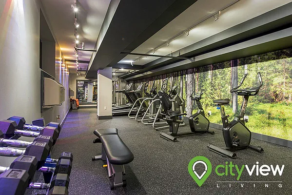 Rented by City View Living | media 6