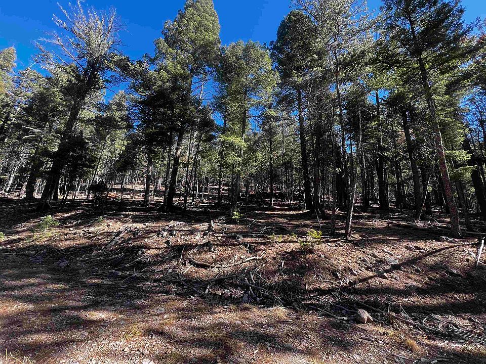 1st image of 42 Forest View Rd