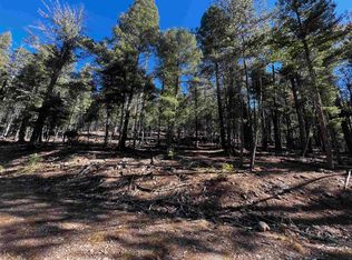 42 Forest View Rd, Cloudcroft, NM 88317