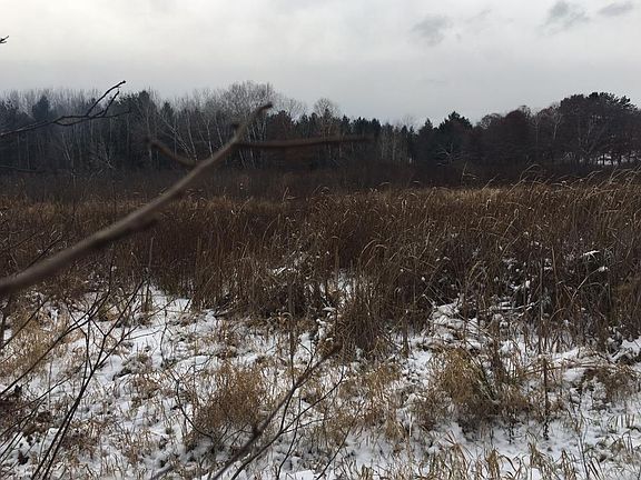 4th image of 8798 County Road 5 NE