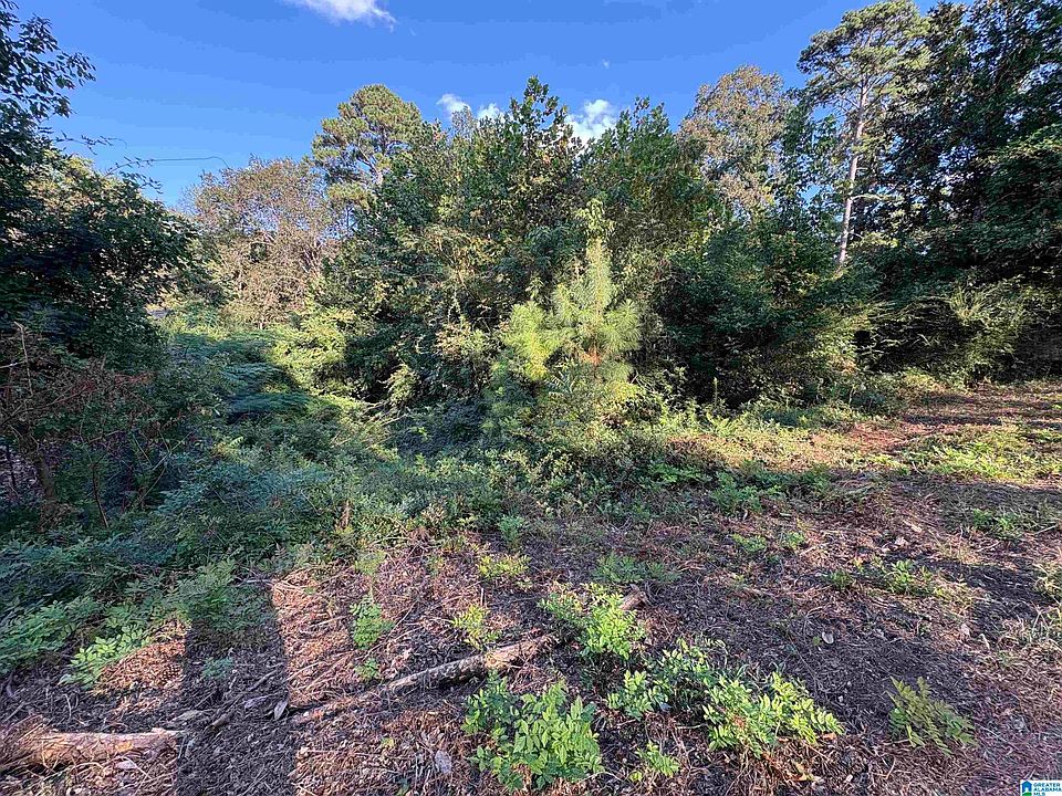 2nd image of 5385 Pinecrest Dr Lot 1