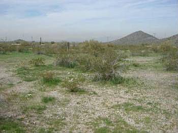 1st image of 16474 W San Pedro Cir