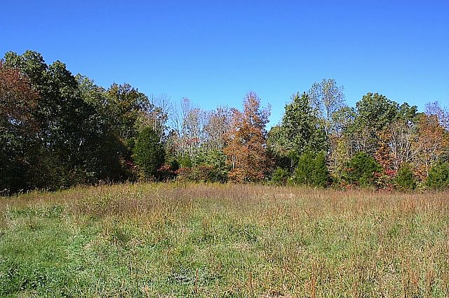 2nd image of Kelly Willis Rd
