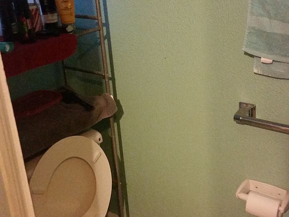 Ensuite Master Half bath