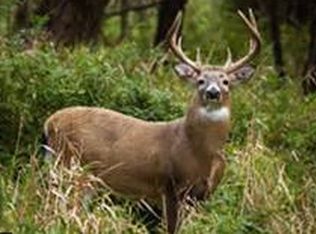 13000 Block Slee Rd, Manitou Beach, MI 49253