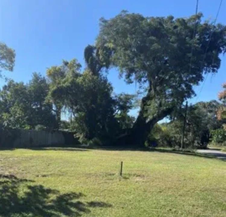 1st image of 1168 OLD APOPKA ROAD LOT 71