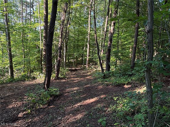 4th image of 0 Fisher Ridge Rd Tract 6